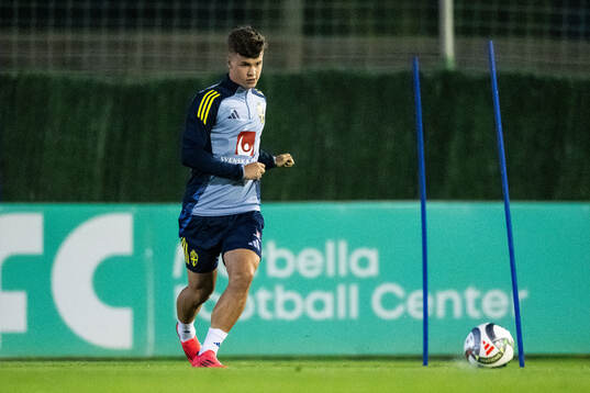 Samuel Dahl of the Swedish men's football national team at