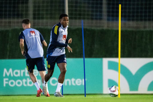 Niclas Eliasson of the Swedish men's football national team