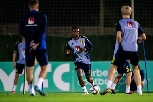Niclas Eliasson of the Swedish men's football national team