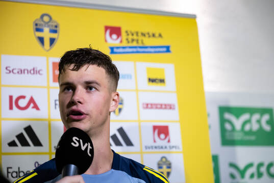 Samuel Dahl of the Swedish men's football national team in