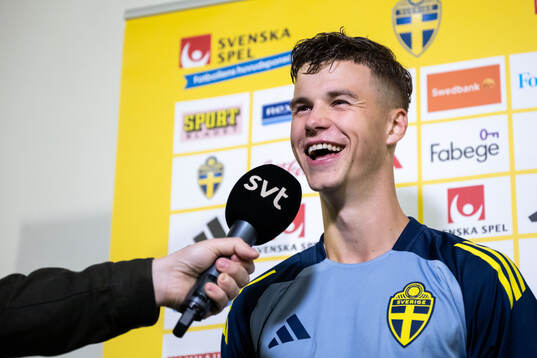 Samuel Dahl of the Swedish men's football national team in