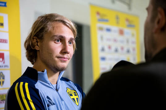 Sebastian Nanasi of the Swedish men's football national