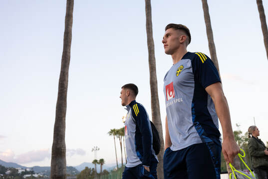 Emil Holm and Viktor Gyökeres of the Swedish men's