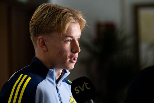 Daniel Svensson of the Swedish men's national football team