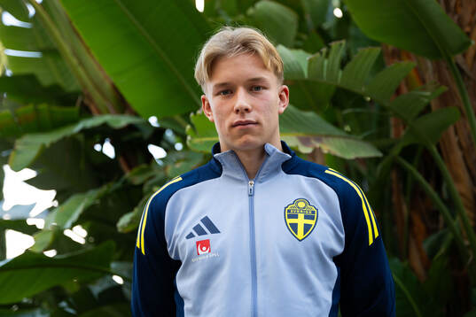 Daniel Svensson of the Swedish men's national football team