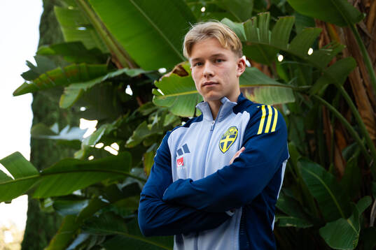 Daniel Svensson of the Swedish men's national football team