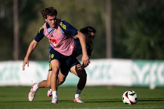 Hampus Skoglund and Amin Boudri