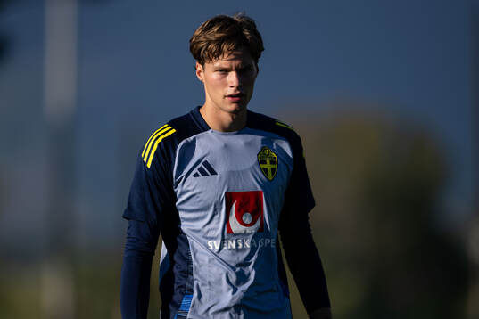 Goalkeeper Filip Sidklev