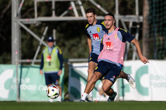 Jonas Rouhi and Elison Makolli