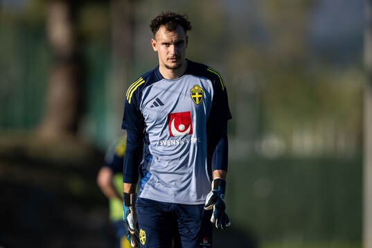 Goalkeeper Elis Bishesari