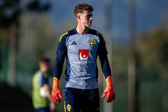 Goalkeeper Viktor Andersson