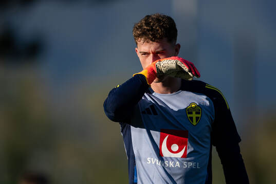 Goalkeeper Viktor Andersson