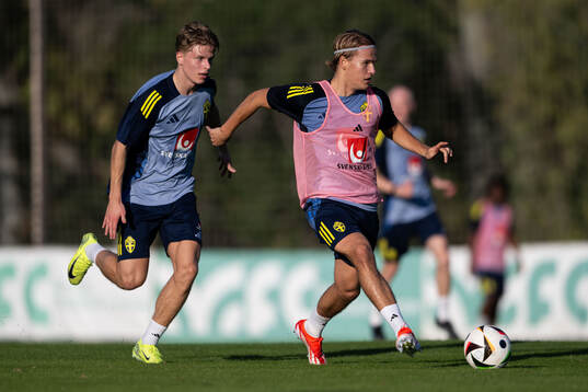 Gottfrid Rapp and Markus Karlsson