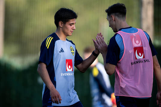 Matteo Perez Vinlöf and Jonas Rouhi