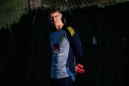 Goalkeeper Viktor Andersson