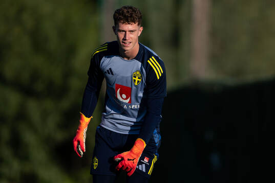 Goalkeeper Viktor Andersson
