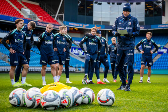 Ståle Solbakken, head coach of the Norwegian national