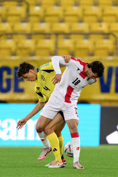 John Mellberg of Sweden and Aleksandre Turkia of Georgia