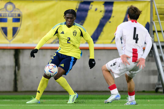 William Rashidi of Sweden