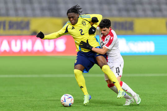 William Rashidi of Sweden and Luka Tsulaia of Georgia