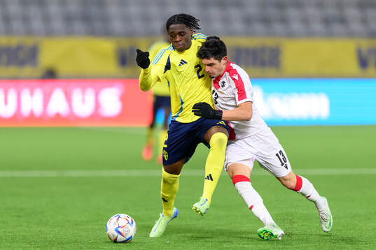 William Rashidi of Sweden and Luka Tsulaia of Georgia