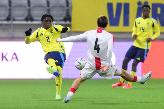 William Rashidi of Sweden
