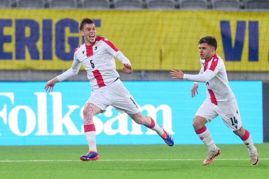 George Nikolaishvili of Georgia celebrates