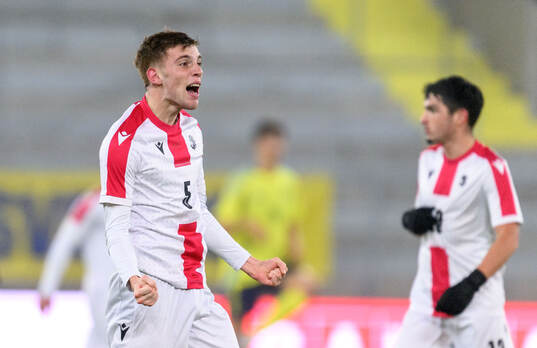 George Nikolaishvili of Georgia celebrates