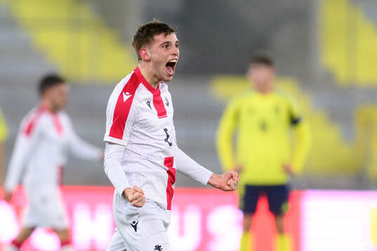 George Nikolaishvili of Georgia celebrates