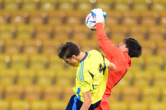 John Mellberg of Sweden and Goalkeeper Mate Sauri of Georgia