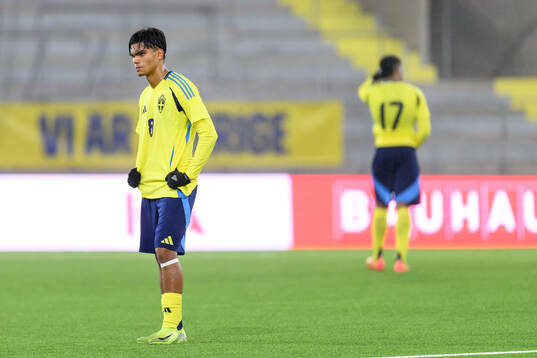 Noel Sernelius of Sweden looks dejected aftere under-19