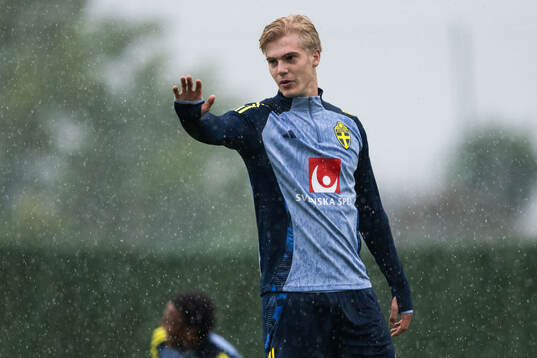 of the Swedish men's football national team at a training