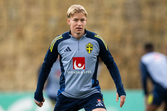 Daniel Svensson of the Swedish men's football national team