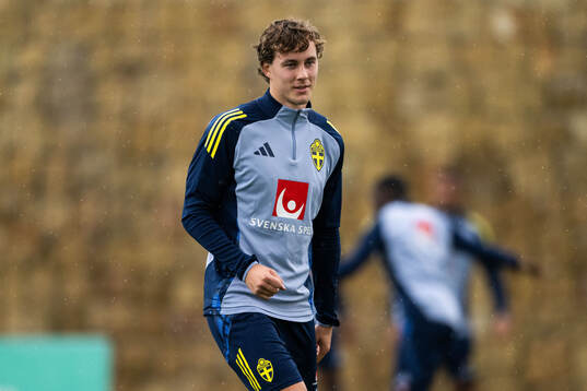 Hampus Skoglund of the Swedish men's football national team