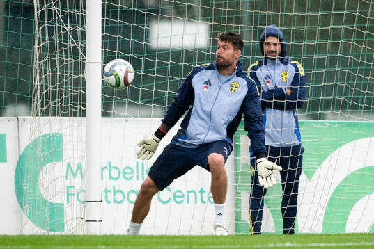Goalkeeper Kristoffer Nordfeldt of the Swedish men's