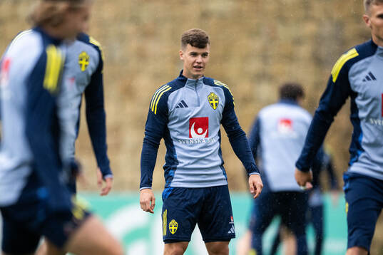 Samuel Dahl of the Swedish men's football national team at