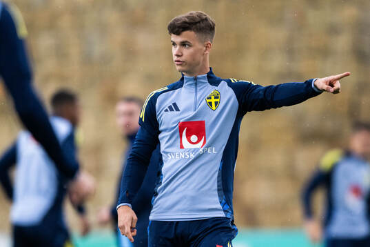 Samuel Dahl of the Swedish men's football national team at