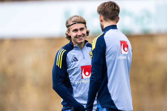Sebastian Nanasi and Anton Salétros of the Swedish men's
