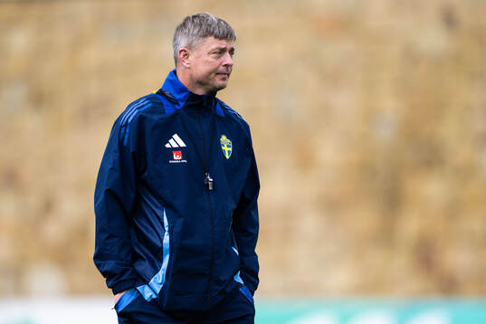 Head coach Jon Dahl Tomasson of the Swedish men's football