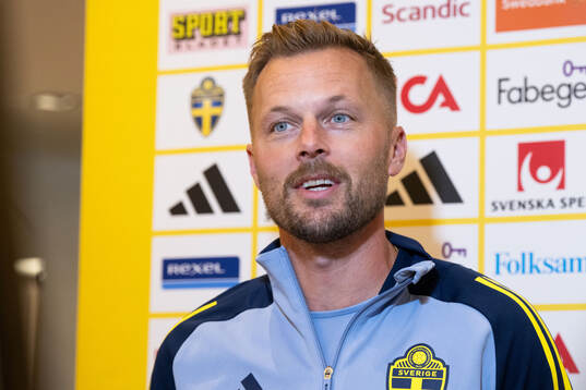 Assistant coach Sebastian Larsson of the Swedish men's