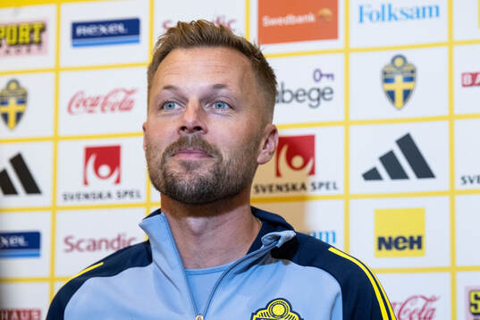 Assistant coach Sebastian Larsson of the Swedish men's