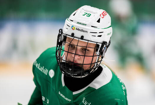 Rögles Mella Liegnell