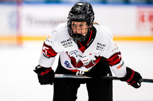 Malmö Redhawks Saga Nederman