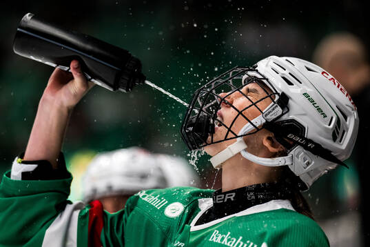 Rögles Johanna Kellander