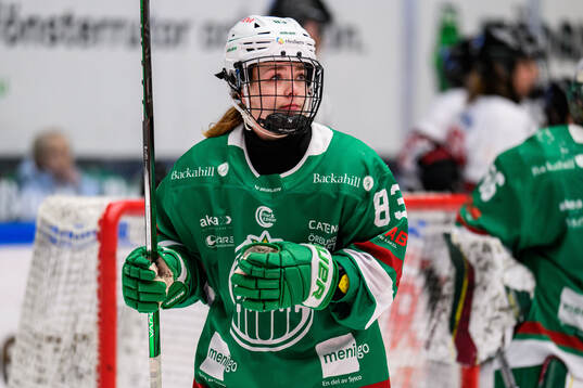 Rögles Megan Christine Holzhuter deppar