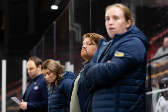 HV71s tränare Thomas Pettersen