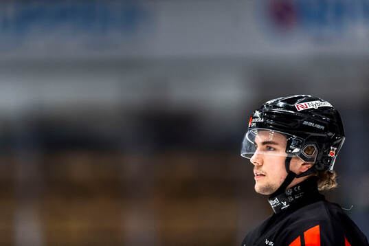 Nybro Vikings Elias Stenman