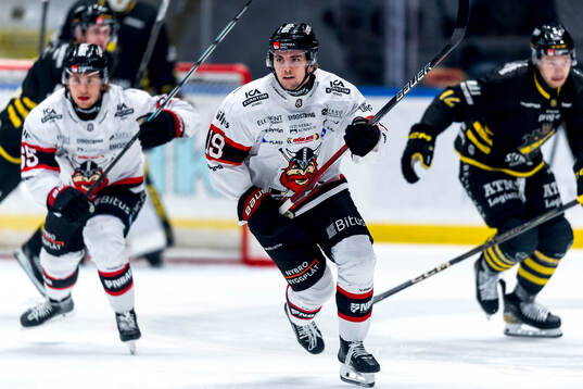 Nybro Vikings Elias Stenman