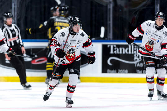 Nybro Vikings Kalle Holm deppar