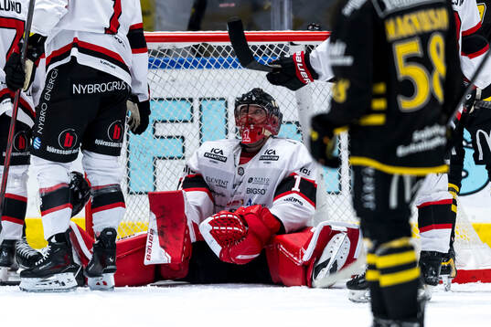 Nybro Vikings målvakt Tex Williamsson deppar